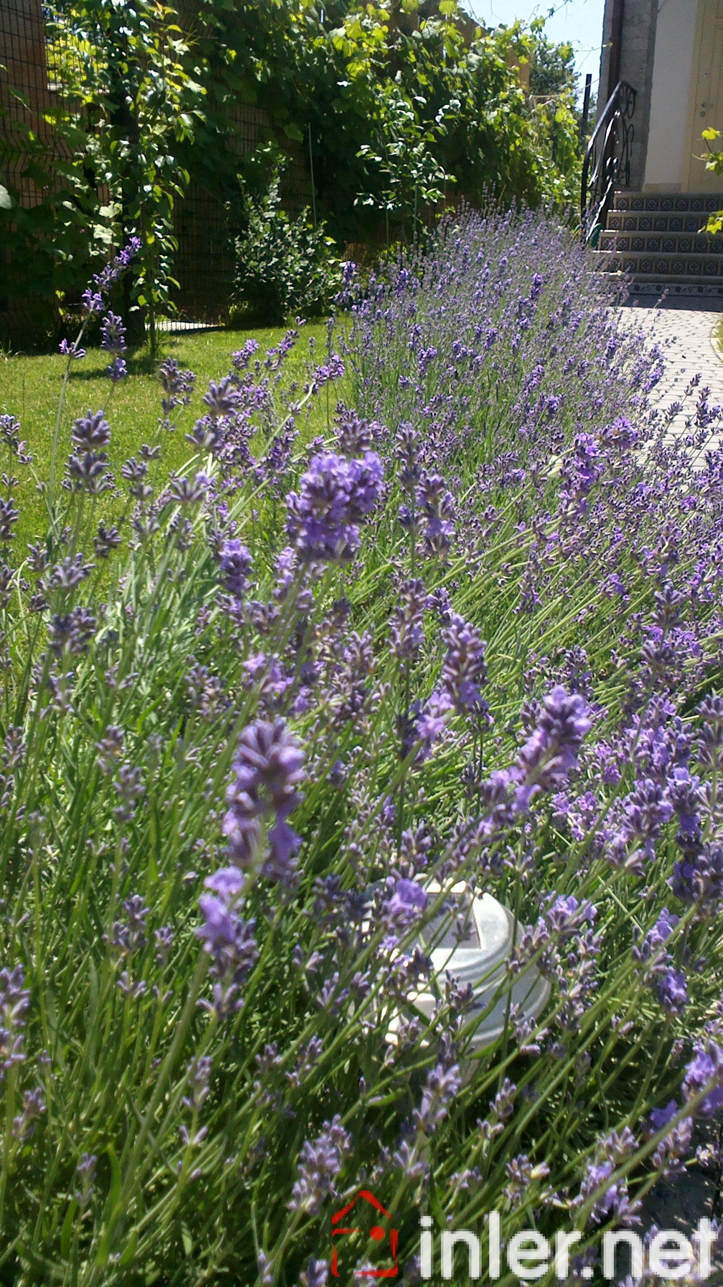 Продам дом в стиле прованс на Даче Ковалевского! ID 11828 (Фото 40)