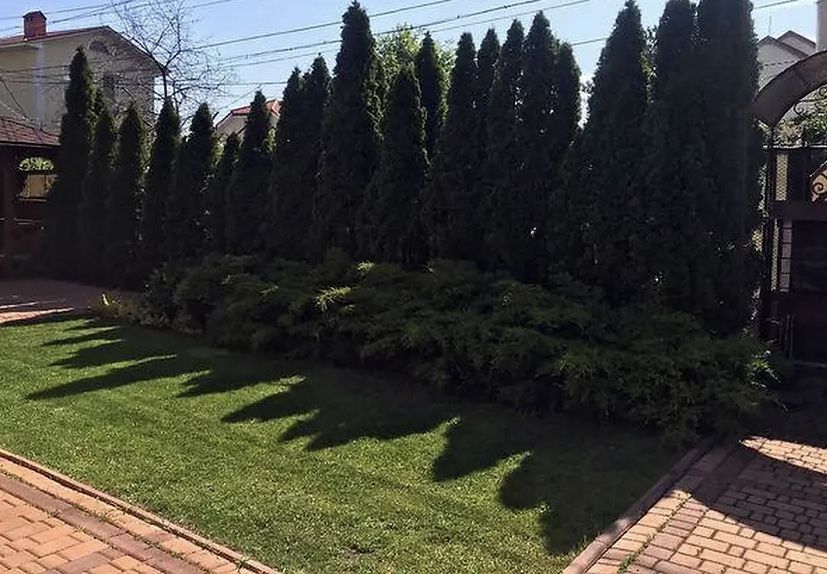 Одноэтажный дом в Аркадии, участок 5 соток. Продажа домов в Одессе. ID 1966 (Фото 23)