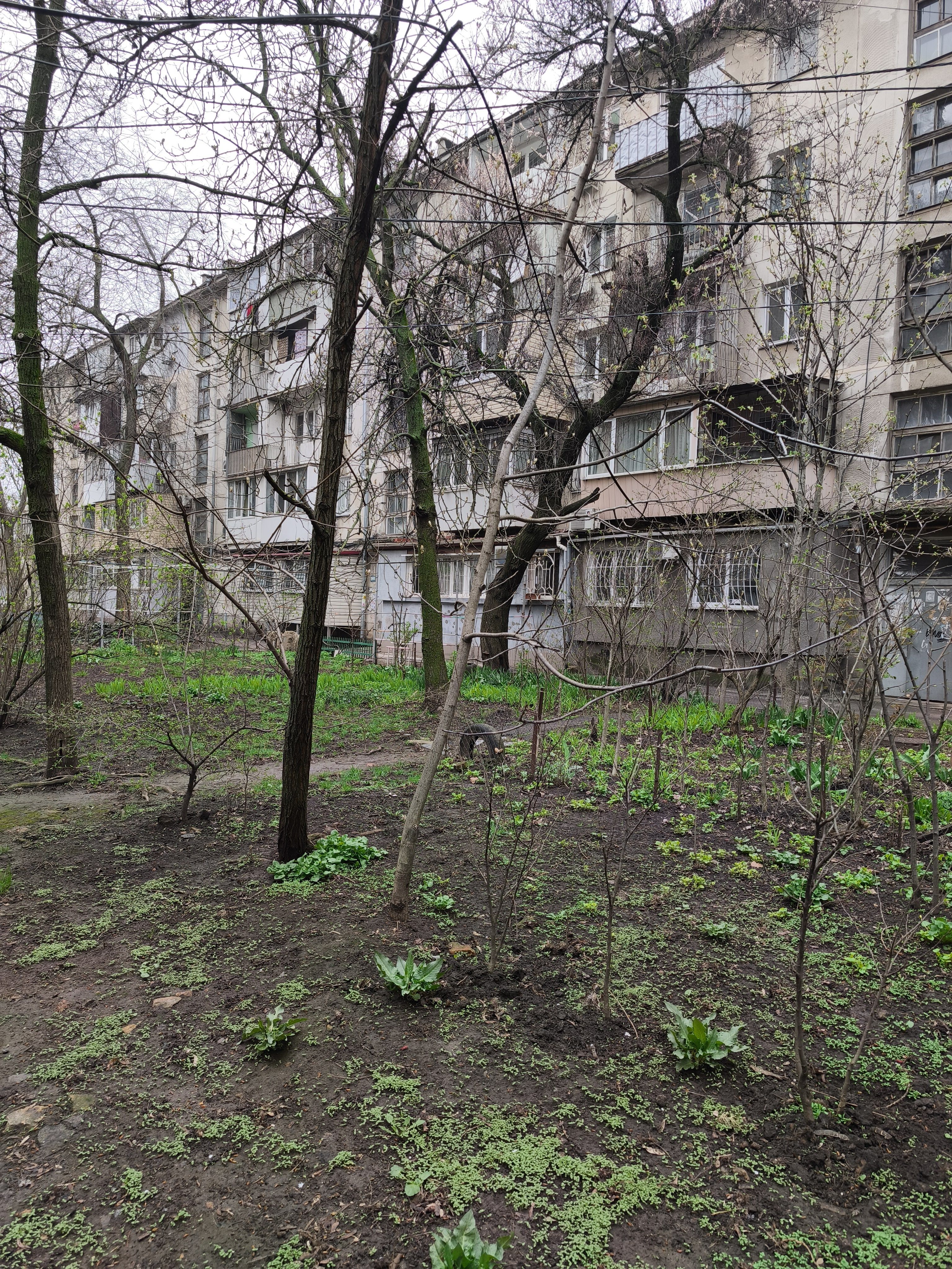 Двухкомнатная квартира на пр. Шевченко/Гагарина. Без Комиссии  ID 54160 (Фото 1)