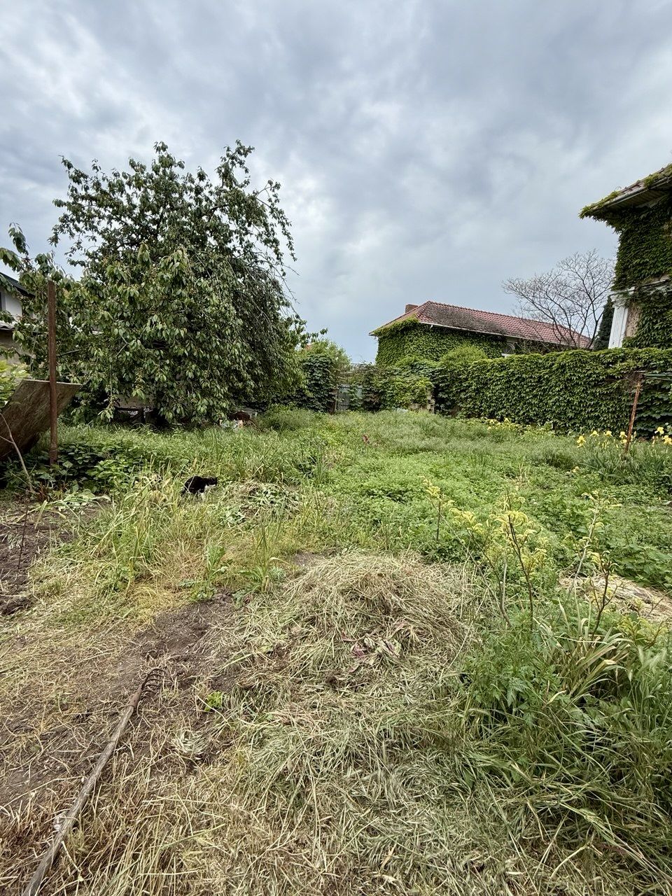 Продам участок 6 соток на 10 ст. Б. Фонтана/ Крымский переулок ID 54276 (Фото 5)